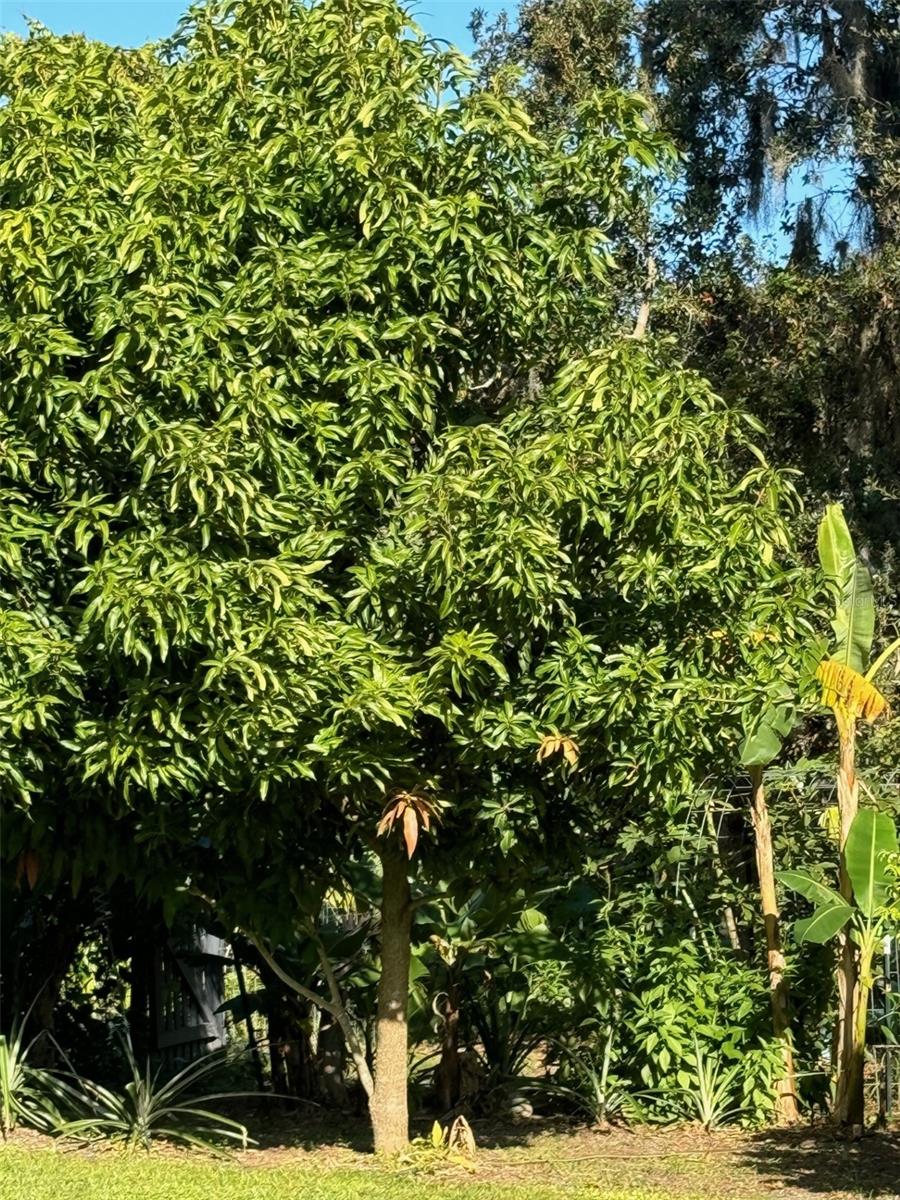 COUNTRY MEADOW WEST UNIT 1 - Residential