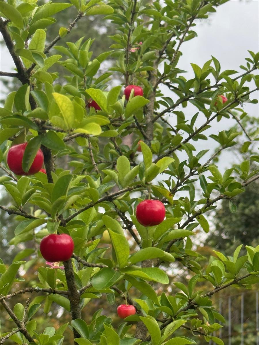 COUNTRY MEADOW WEST UNIT 1 - Residential