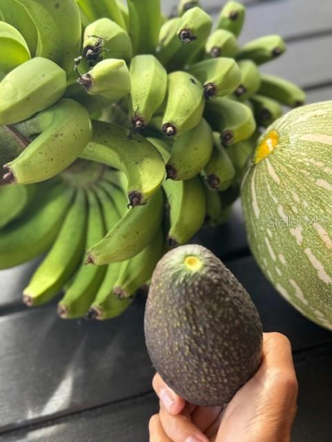 COUNTRY MEADOW WEST UNIT 1 - Residential