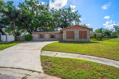 801 CHESS PLACE SEFFNER FL 33584