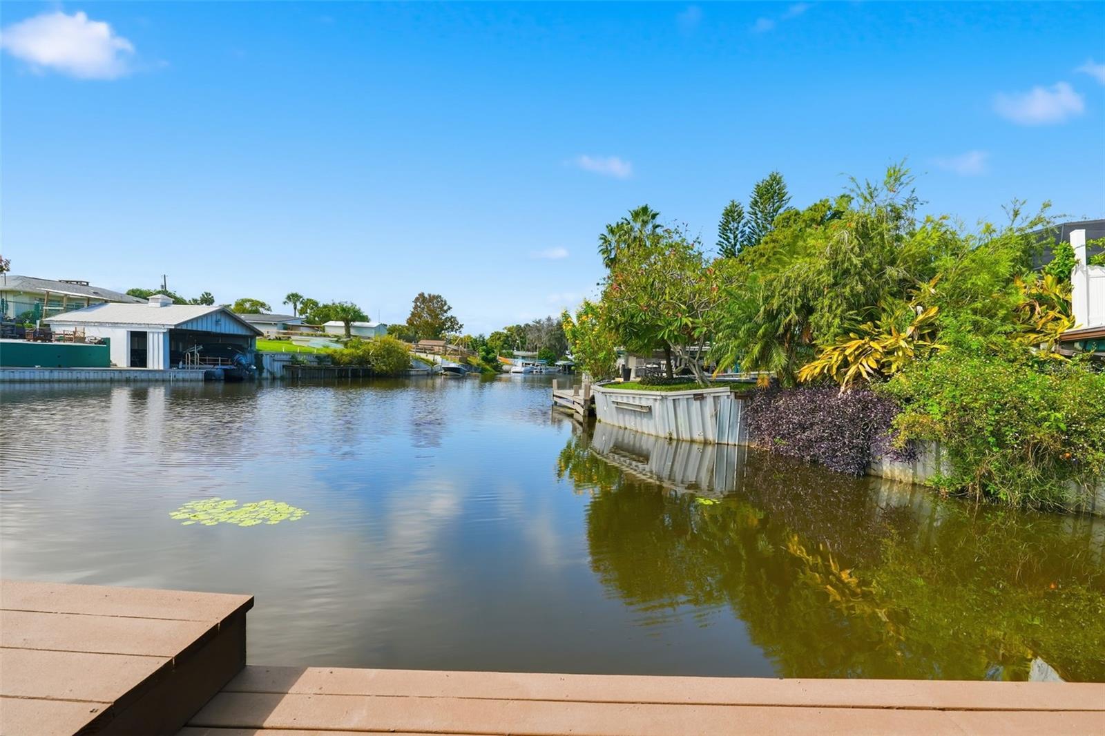 TAVARES NORTH LAKEWOOD PARK ADD 01 - Residential