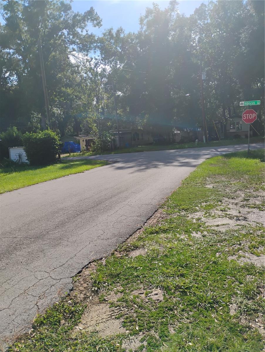 JASMINE ROAD