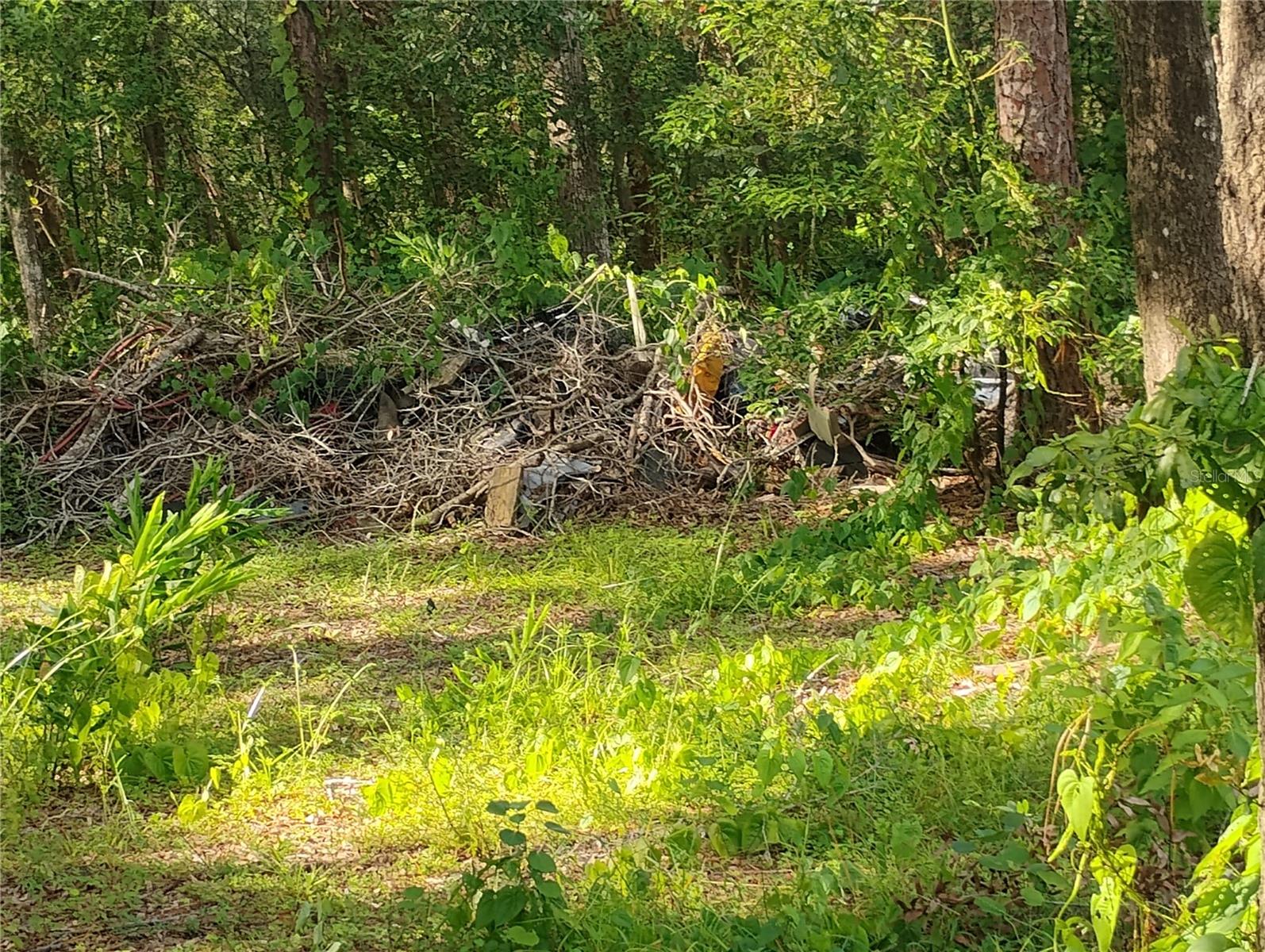 Seller financing available! Don't miss this opportunity to purchase a very affordable partially cleared lot on a paved road in Altoona, Florida, and not in a flood zone. Zoned for site-built, mobile homes, modular homes, and even tiny homes for a wide array of building options. The property is situated on the corner of Jasmine Rd and Hibiscus RD, where both streets end, surrounded by nature. Enjoy being in the middle of the Ocala National Forest and everything it has to offer outdoor lovers. Centrally located with Ocala, Daytona, Orlando, and The Villages just a short drive of an hour away.