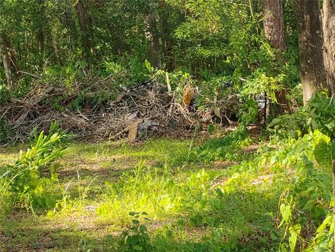 JASMINE ROAD ALTOONA FL 32702