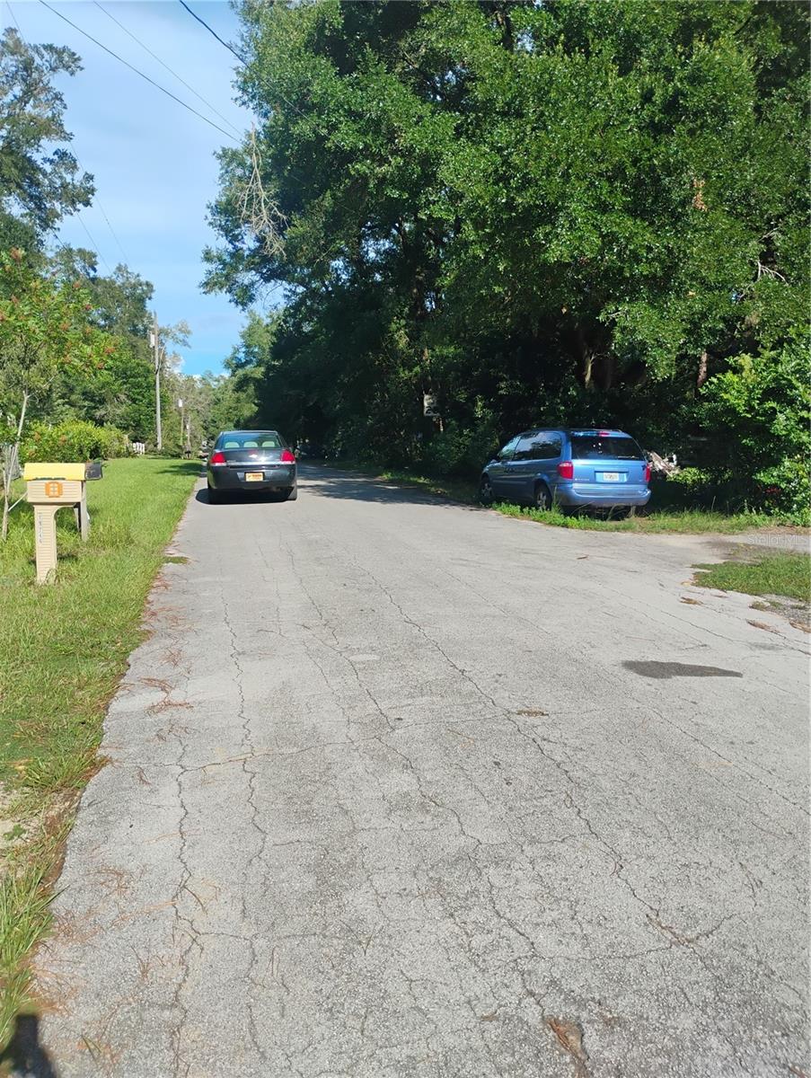 JASMINE ROAD