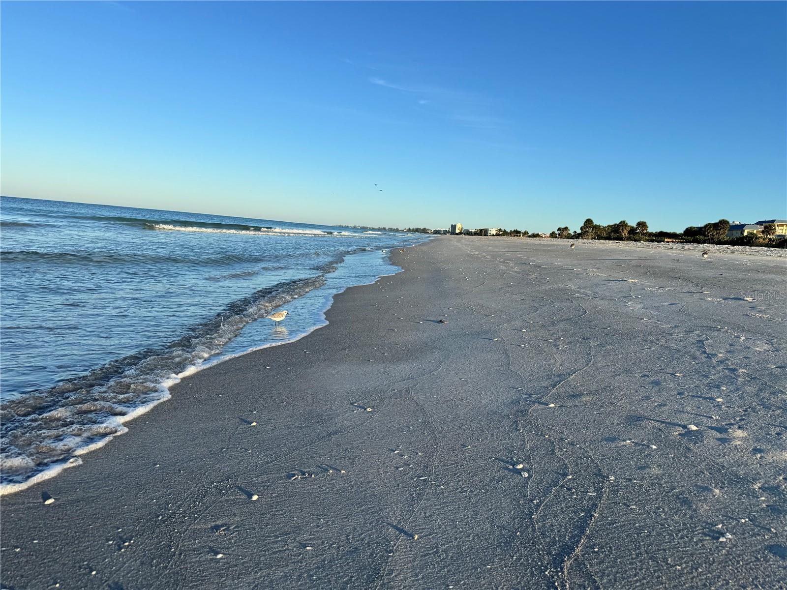 GULFSHORE OF LONGBOAT KEY - Residential