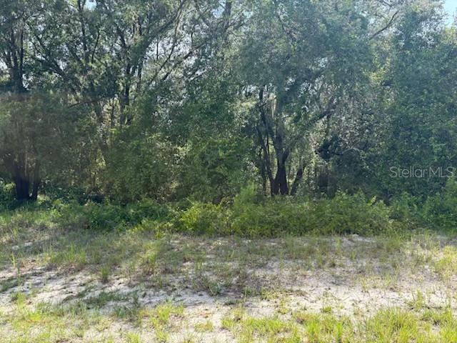 MARION OAKS UN 06 - Land