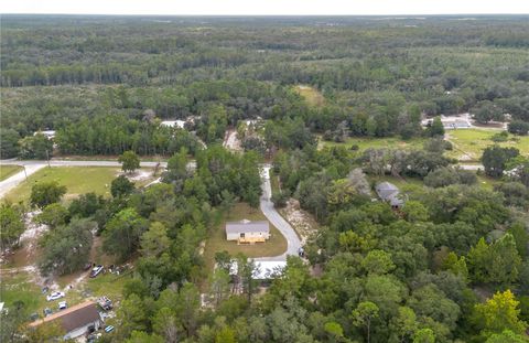 Tiny photo for 10865 NE 220th Street, Fort Mccoy, FL 32134 (MLS # OM710113)