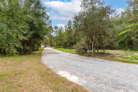Tiny photo for 10865 NE 220th Street, Fort Mccoy, FL 32134 (MLS # OM710113)
