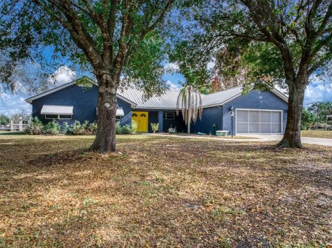 Photo of 1151 Winter Green Street, Lake Placid, FL 33852 (MLS # FC314472)