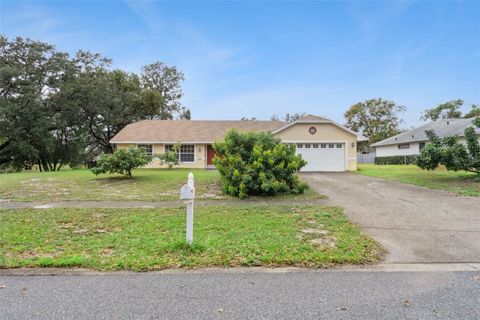Photo of 6610 Pampus Drive, Orlando, FL 32819 (MLS # O6366070)