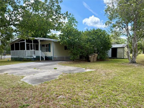 Photo of 24138 Panther Road, Astor, FL 32102 (MLS # G5111412)