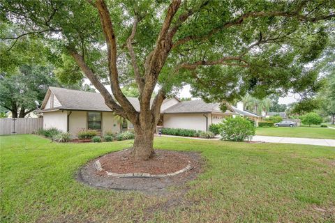 A home in MOUNT DORA