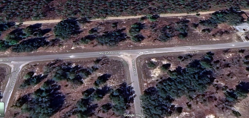 Photo of Malauka Loop, Ocklawaha, FL 32179 (MLS # O6350403)