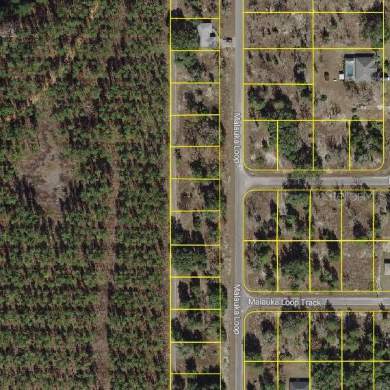 SILVER SPGS SHORES UN 35 - Land