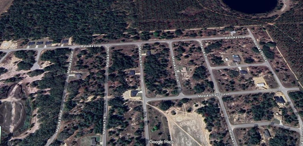 Photo of Malauka Loop, Ocklawaha, FL 32179 (MLS # O6350403)