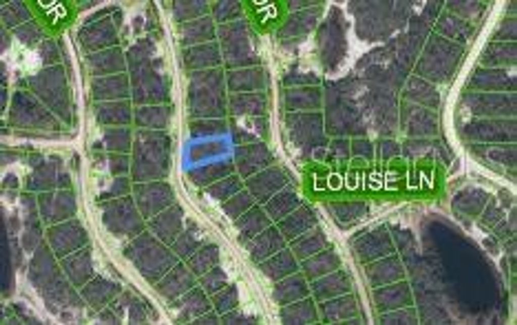 Photo of 259 Dargen Drive, Lake Placid, FL 33852 (MLS # TB8393786)