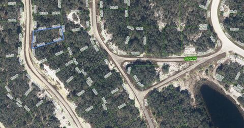 259 DARGEN DRIVE LAKE PLACID FL 33852