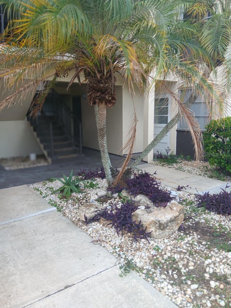 GULF HARBORS CONDO - Residential Lease