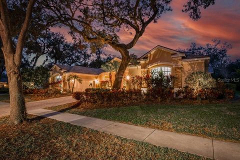 A home in LITHIA