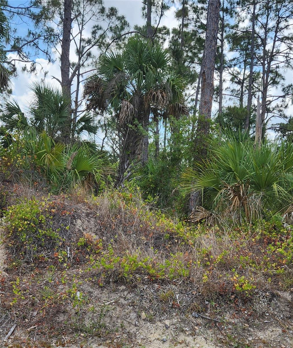PORT CHARLOTTE SUB 05 - Land