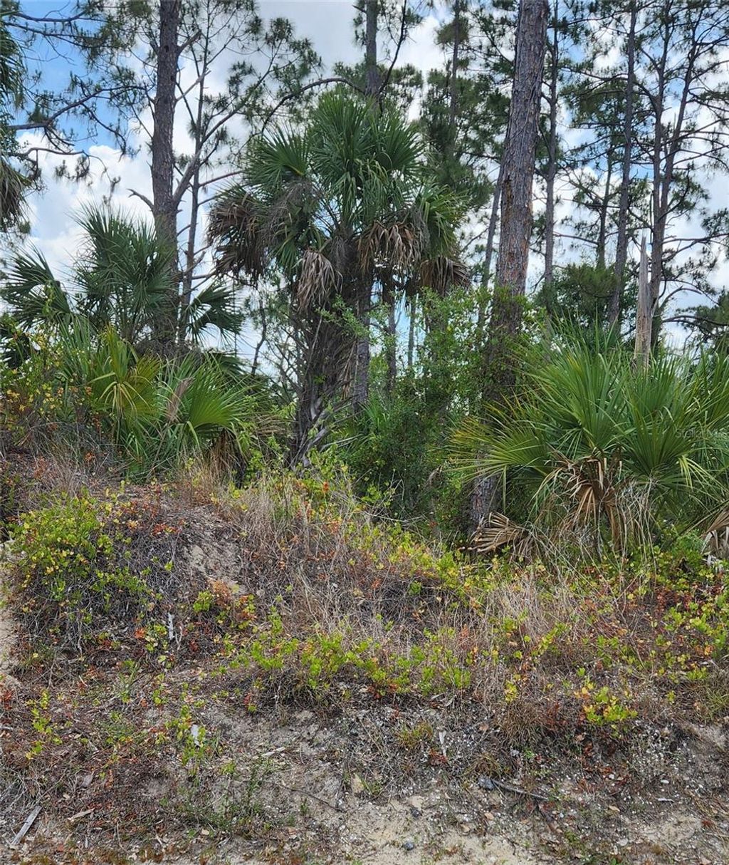 Photo of Mcginnis Terrace, North Port, FL 34286 (MLS # C7500516)