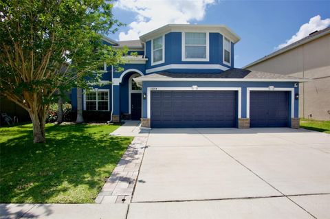 12214 STREAMBED DRIVE RIVERVIEW FL 33579
