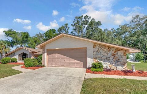 A home in SPRING HILL