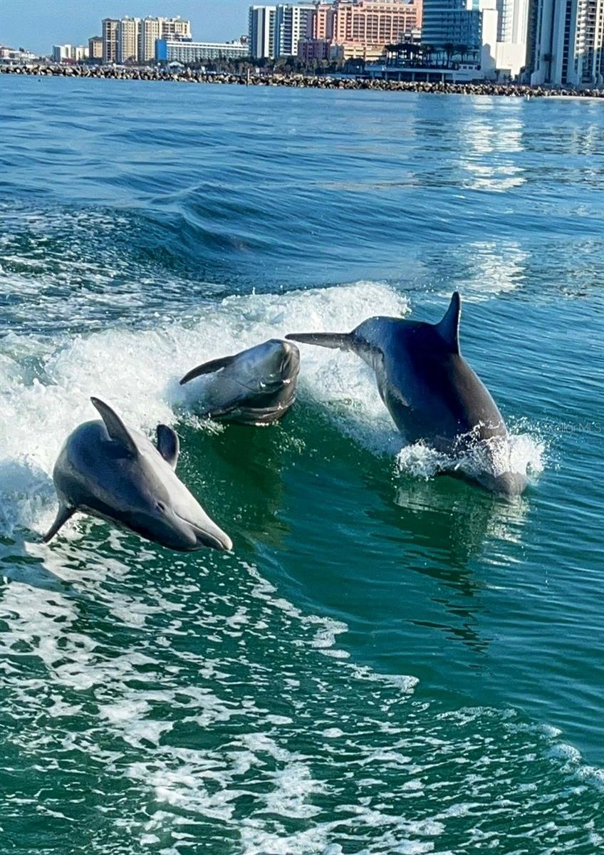 SANDHILL PINES BLDG 02 - Residential Lease