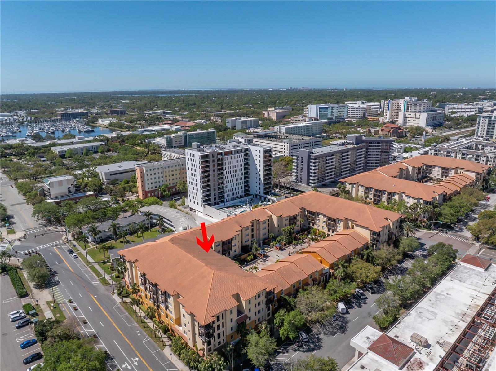 MADISON AT ST PETE II - Residential