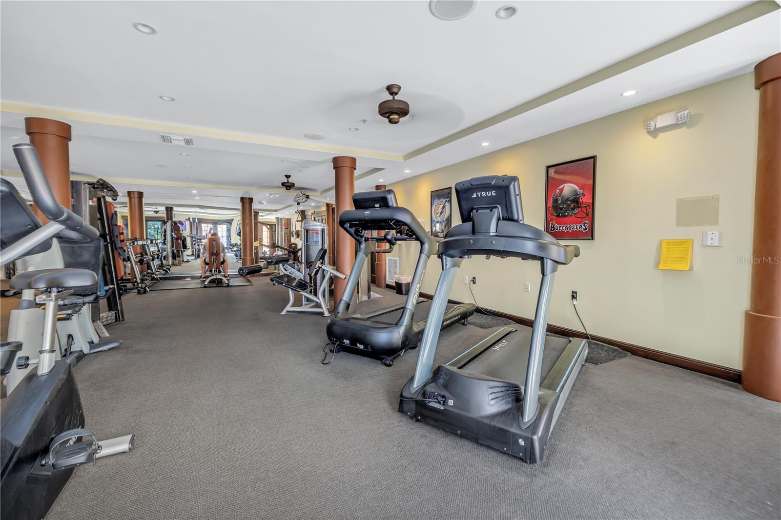 MADISON AT ST PETE II - Residential