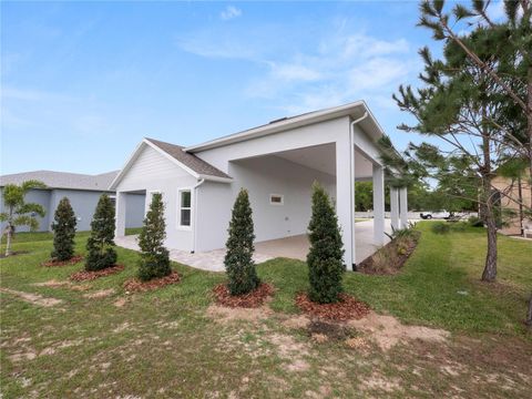 A home in POLK CITY