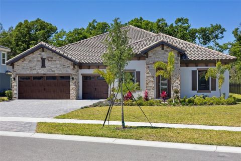 10183 MEADOWRUN DRIVE LITHIA FL 33547