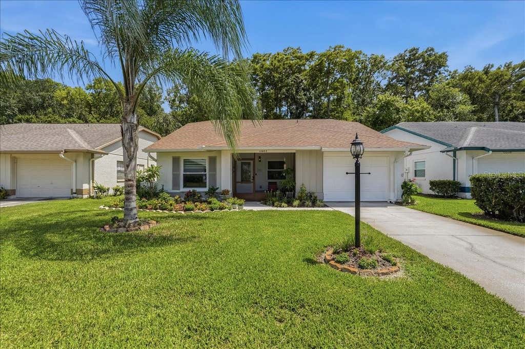 Photo of 11602 White Ash Drive, New Port Richey, FL 34654 (MLS # TB8535279)