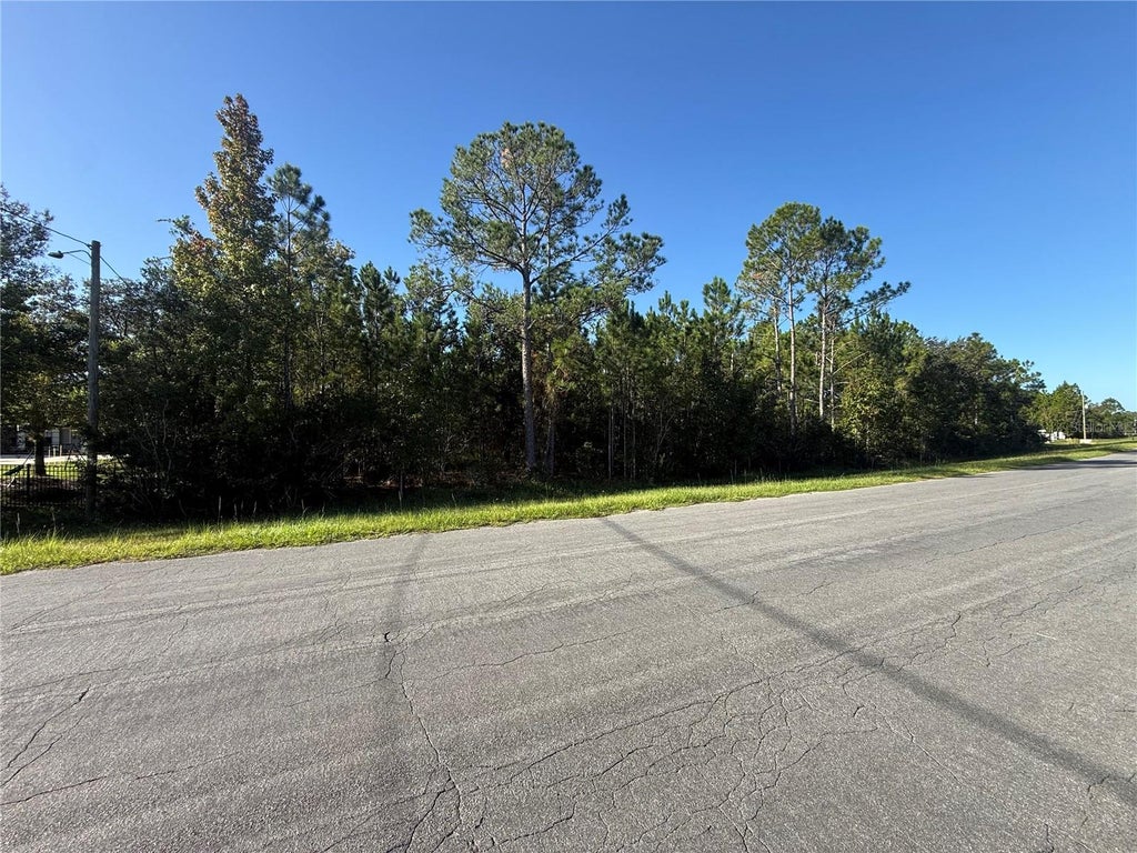 Photo of Reynolds Parkway, Orlando, FL 32833 (MLS # O6451397)