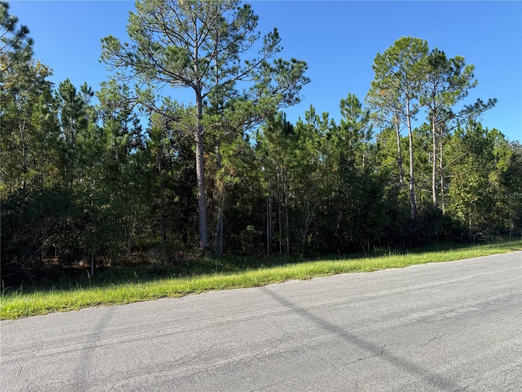 Photo of Reynolds Parkway, Orlando, FL 32833 (MLS # O6451397)