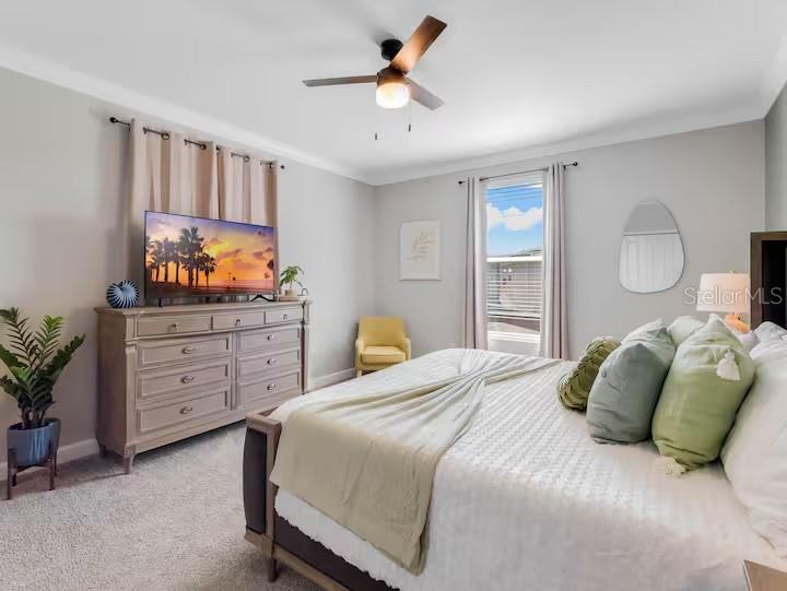 COVE AT STOREY LAKE 4 - Residential