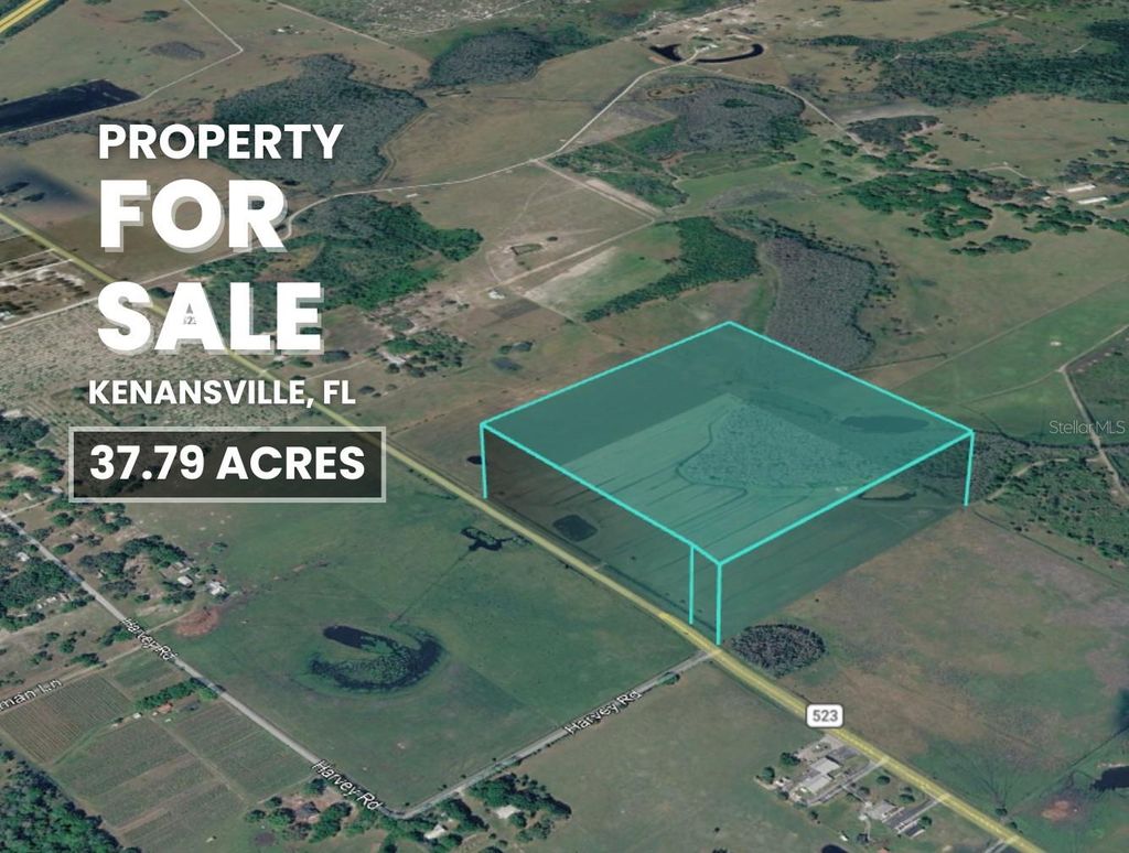 Photo of 1099 S Canoe Creek Road, Kenansville, FL 34739 (MLS # TB8473078)