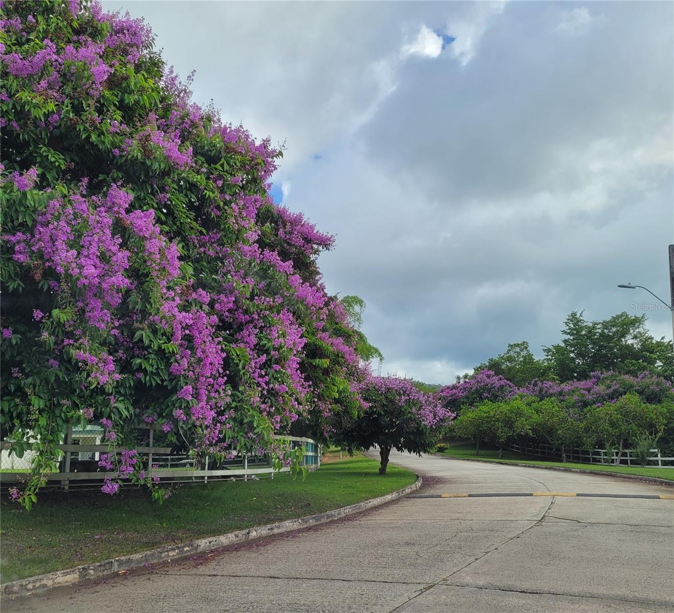 HACIENDA MARGARITA - Residential