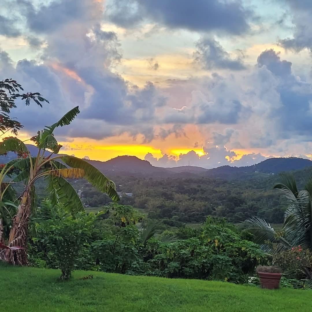 HACIENDA MARGARITA - Residential