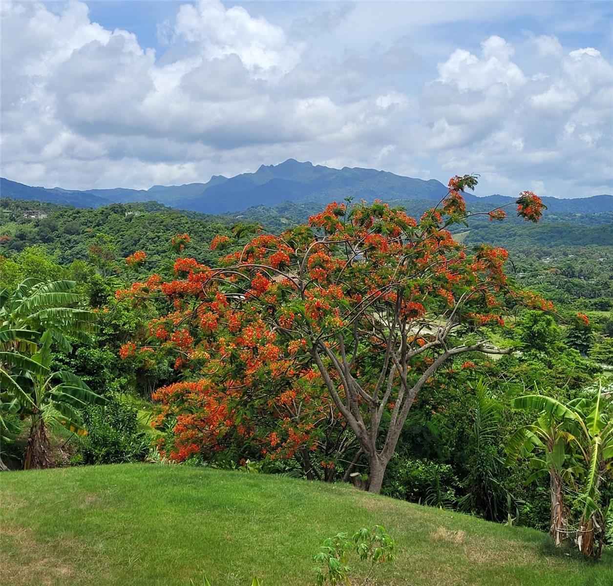 HACIENDA MARGARITA - Residential