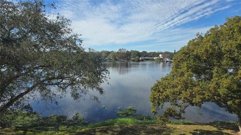 A home in TAMPA