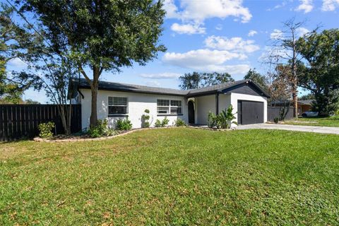 A home in SEFFNER