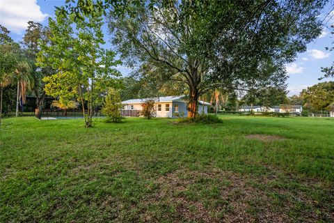 A home in BELLEVIEW