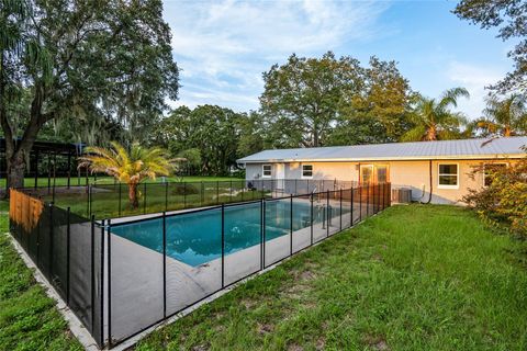 A home in BELLEVIEW