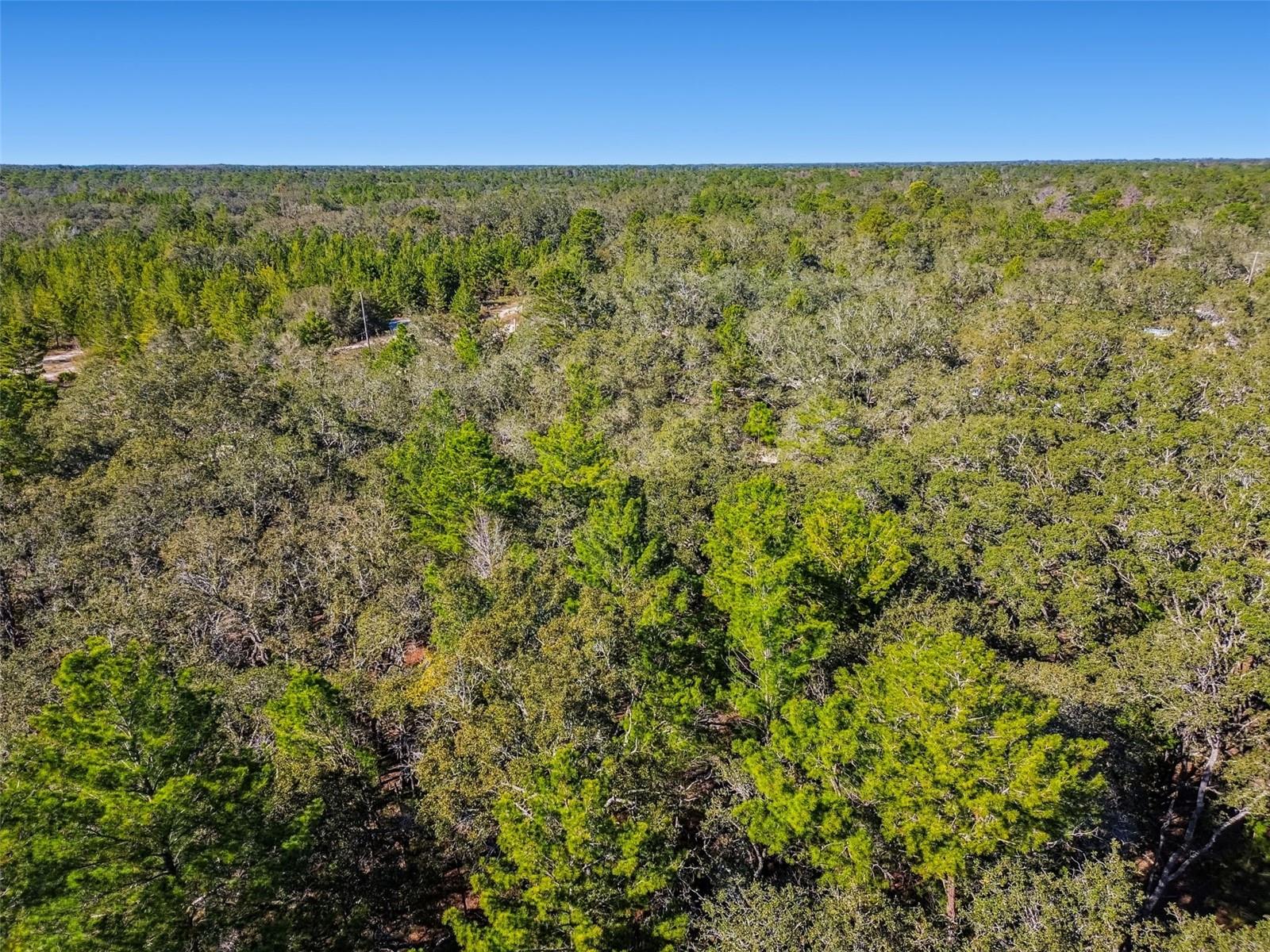 BOTETOURT ACRES 2 TRACTS 1 & 2 - Land