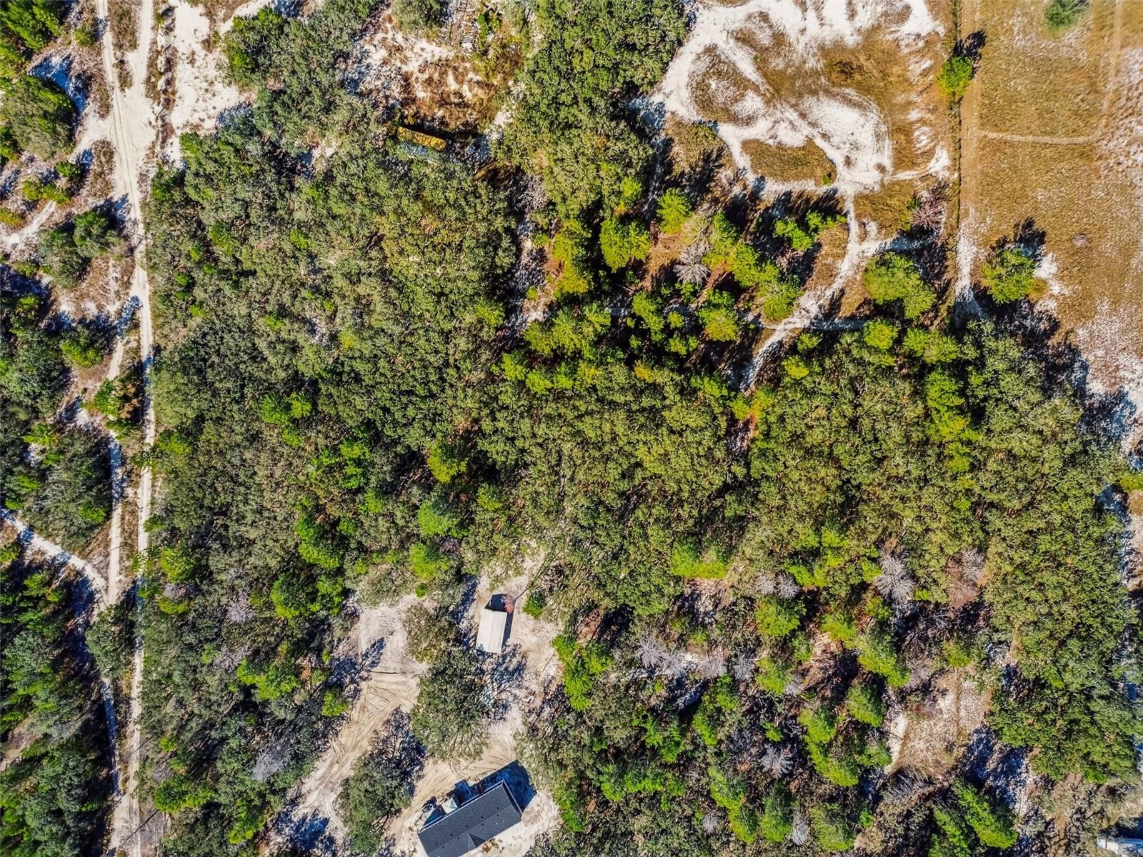 BOTETOURT ACRES 2 TRACTS 1 & 2 - Land