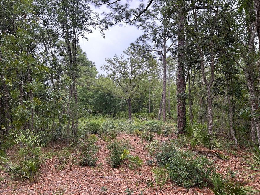 Discover the perfect blend of privacy and convenience with this 0.60-acre parcel located just minutes from Homosassa Springs, Three Sisters Springs, and the Citrus Wildlife Management Area. An approximately 50’X50’ area has already been cleared for your future home, with perimeter trees left intact, creating a tranquil, wooded buffer around your homesite, with the potential to purchase the adjoining vacant lots!. The property is zoned for mobile homes, offering flexibility and affordability without sacrificing space or location. Outdoor lovers will appreciate the proximity to world-class springs, crystal-clear kayaking, wildlife watching, and scenic nature trails. Utilities are nearby, and access is convenient, making development a breeze.