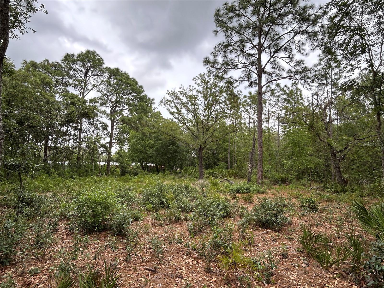 S SLASH PINE AVENUE
