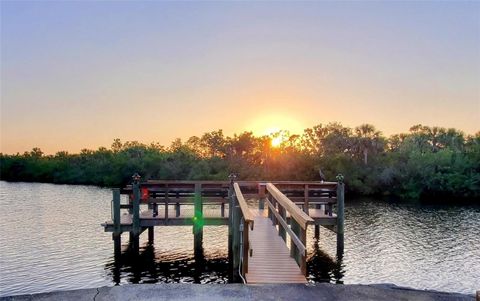 A home in PUNTA GORDA